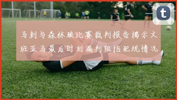 马刺与森林狼比赛裁判报告揭示文班亚马最后时刻漏判阻挡犯规情况