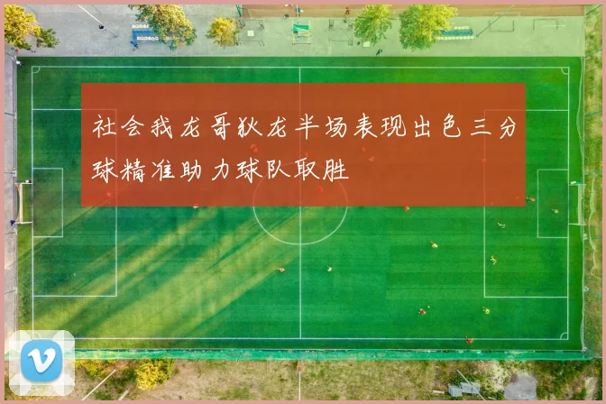社会我龙哥狄龙半场表现出色三分球精准助力球队取胜