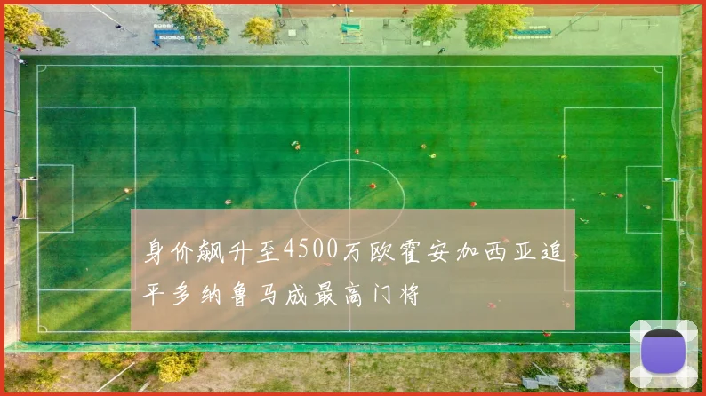 身价飙升至4500万欧霍安加西亚追平多纳鲁马成最高门将
